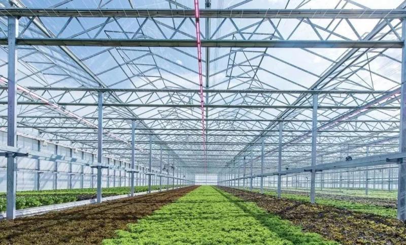重磅发布,史上最全:2019 "室内农业科技领域" 行业绘